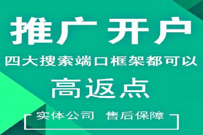 竞价推广成功案例解析